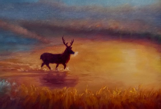 Beyond the Bracken