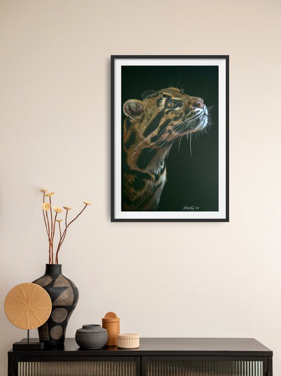 Wild Spirit