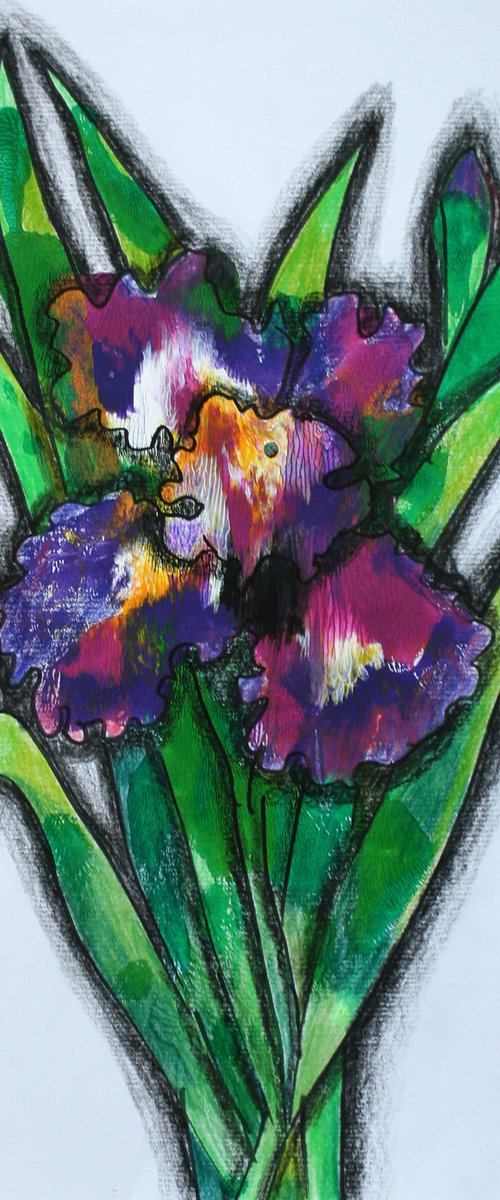 Iris II /  ORIGINAL PAINTING by Salana Art Gallery