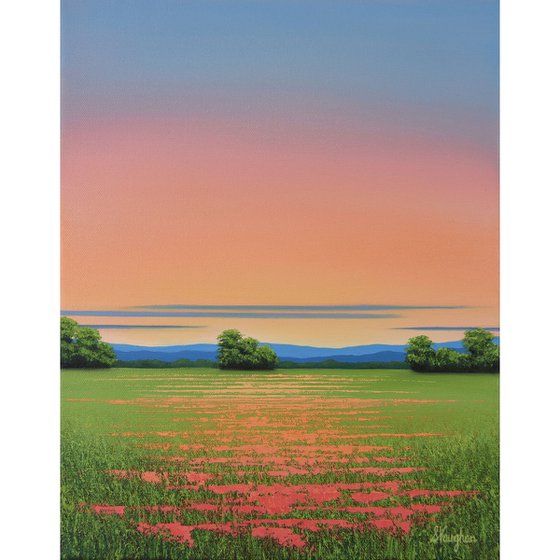 Red Poppy Field