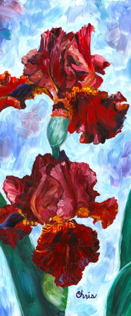 Red Iris Duo by Christina M Plichta