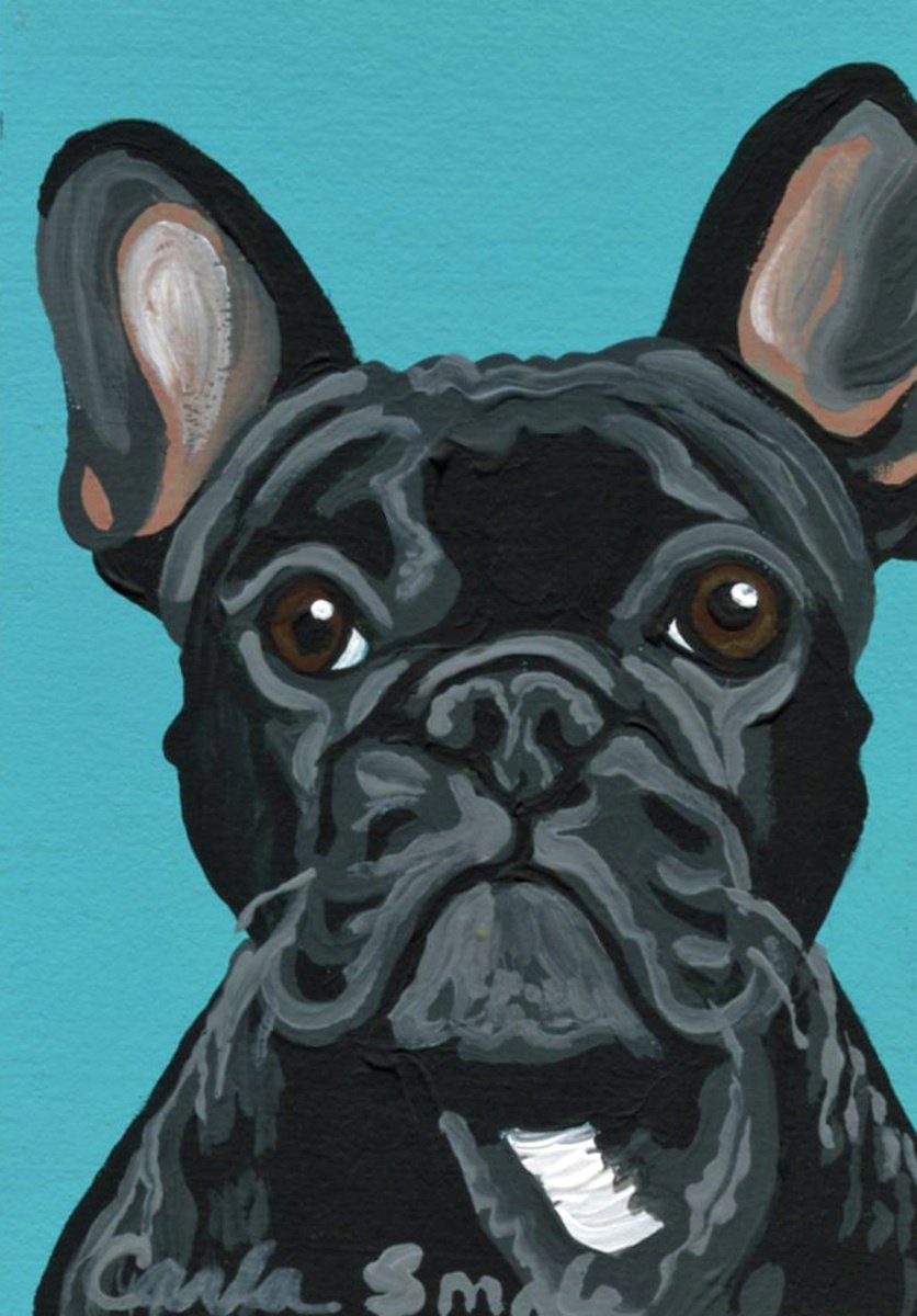 French Bulldog by Carla Smale