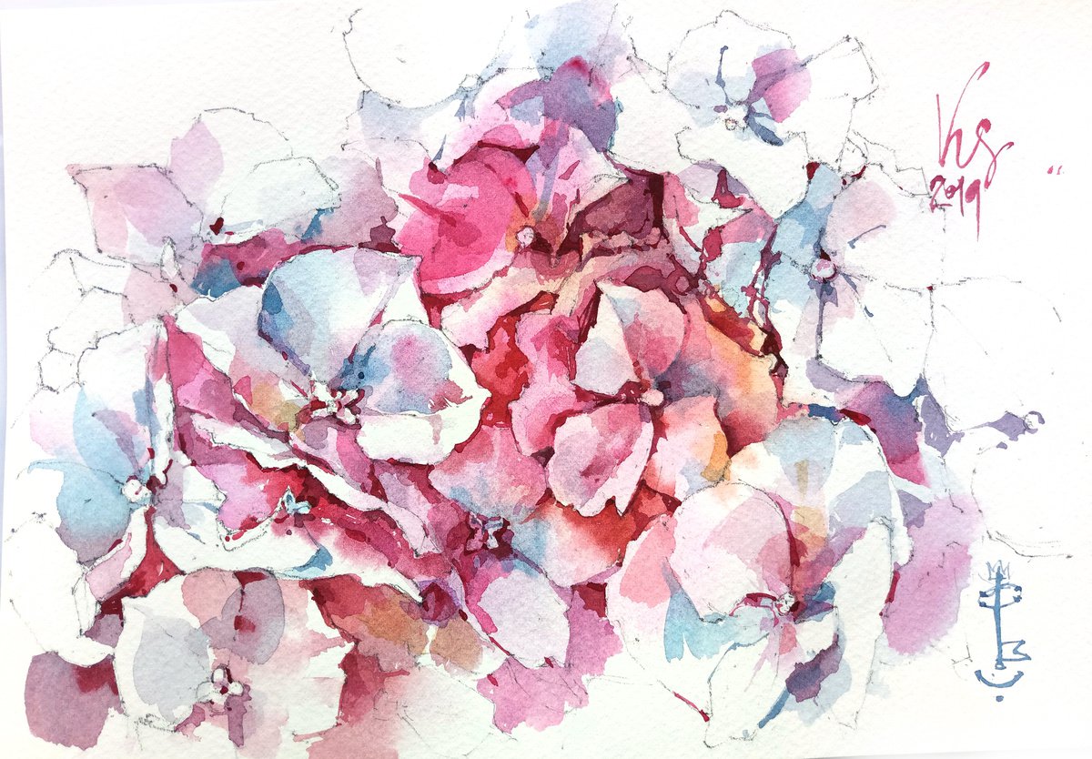 Original watercolor painting Thousand Shades of Hydrangea Flowers by Ksenia Selianko