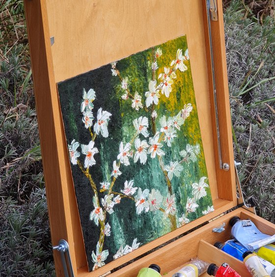 Cherries in bloom