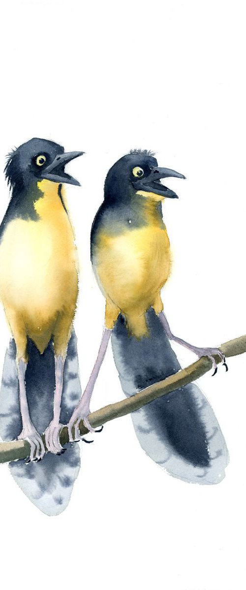 The surprised birds by Olga Tchefranov (Shefranov)