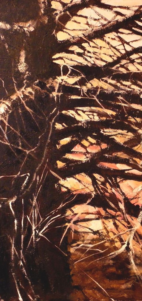 Spruce with Rock Wall by David Kofton