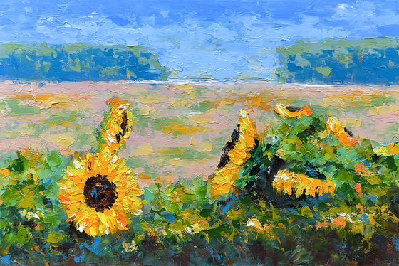 Sunflowers in the field. Original oil painting