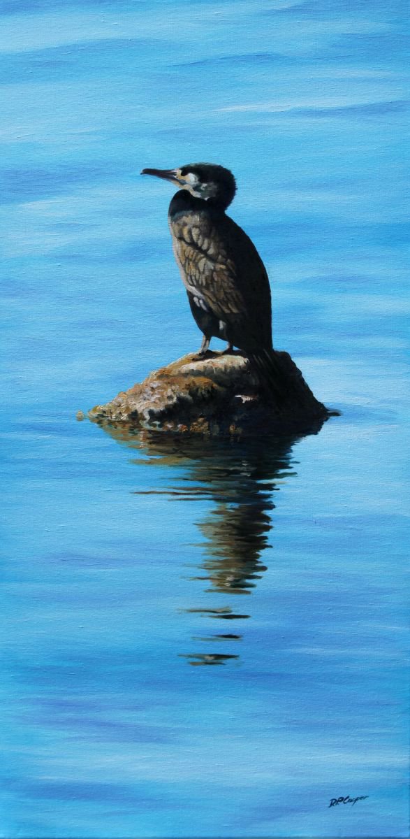 Cormorant reflections by D. P. Cooper