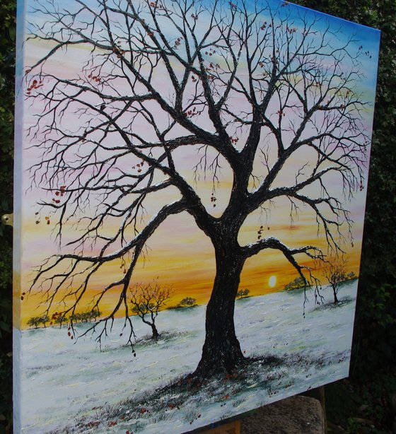 An Oak Tree in Winter