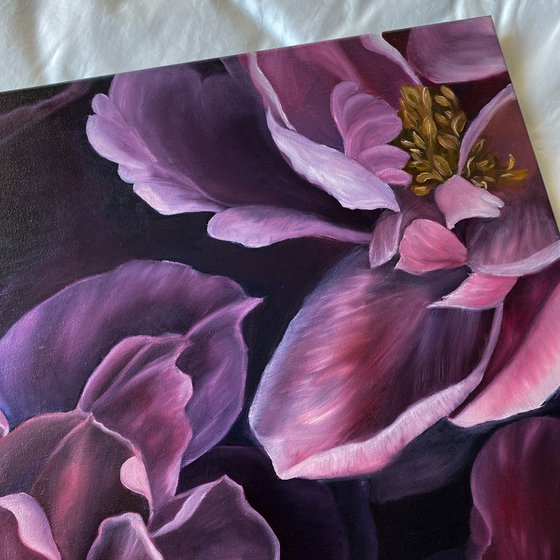 Peony Bloom
