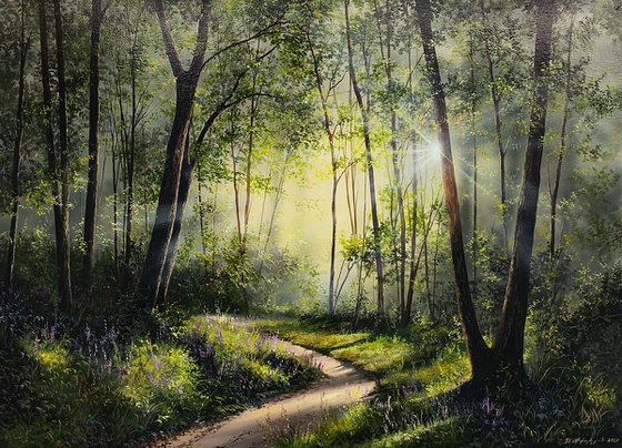 Sun-Kissed Path