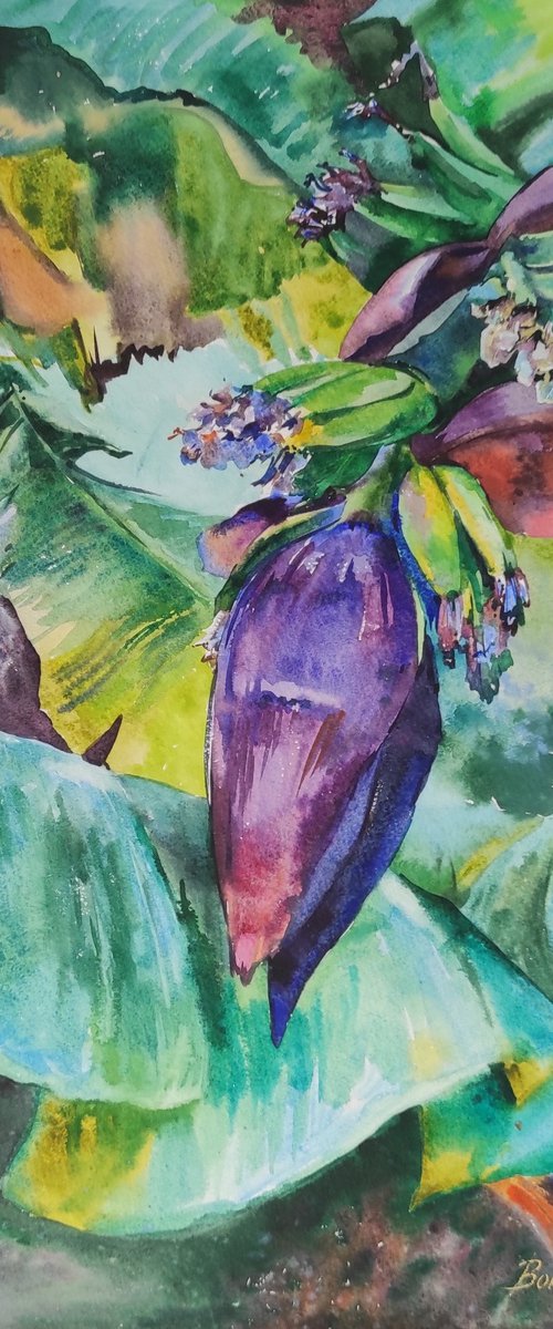 Paradise in the tropics - banana bloom, tropical palm, plants - orignal tropical green watercolor by Tetiana Borys