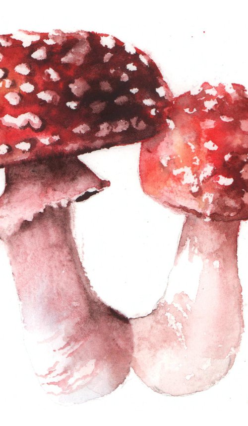 Flyagaric Mushrooms by Alison Fennell