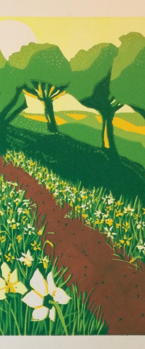 Daffodil Path by Andrew Tromans