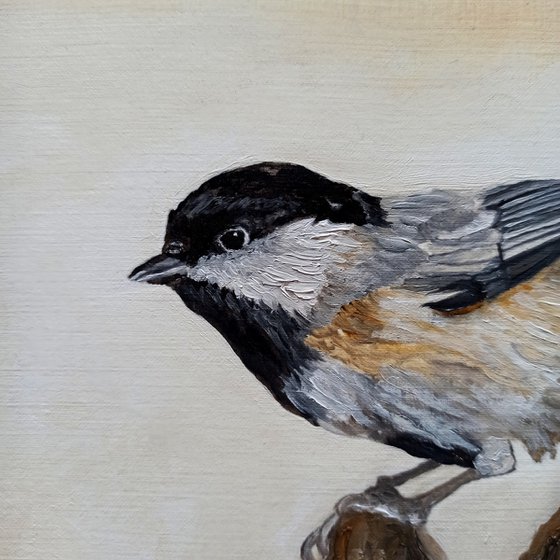 Pale Gold Chickadee