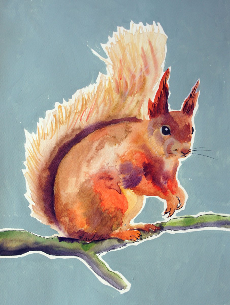 Red Squirrel by Julia Rigby