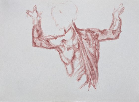 Drawing Study of Libyan Sibyl Michelangelo Sistine Chapel sanguine pencils drawing