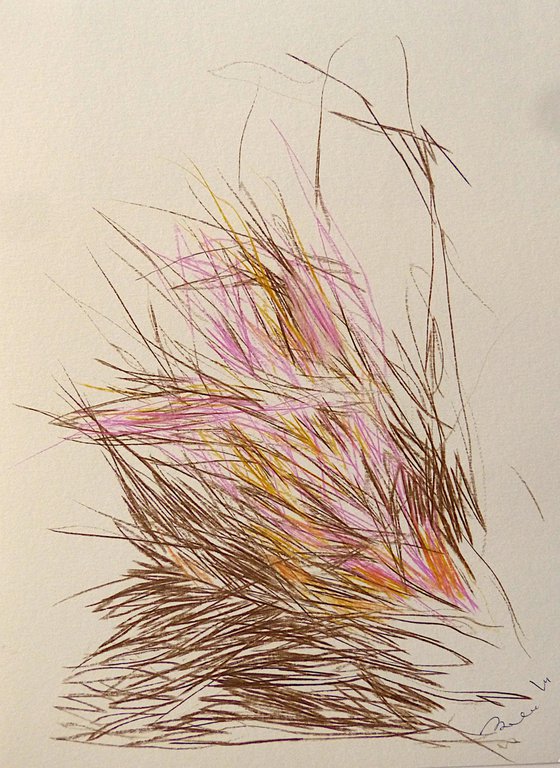 The Grass 2