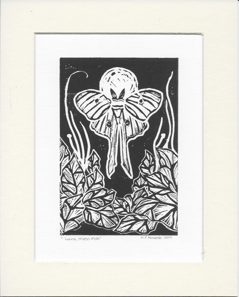 Luna Moon Moth Original Lino Print by Maria Forrester