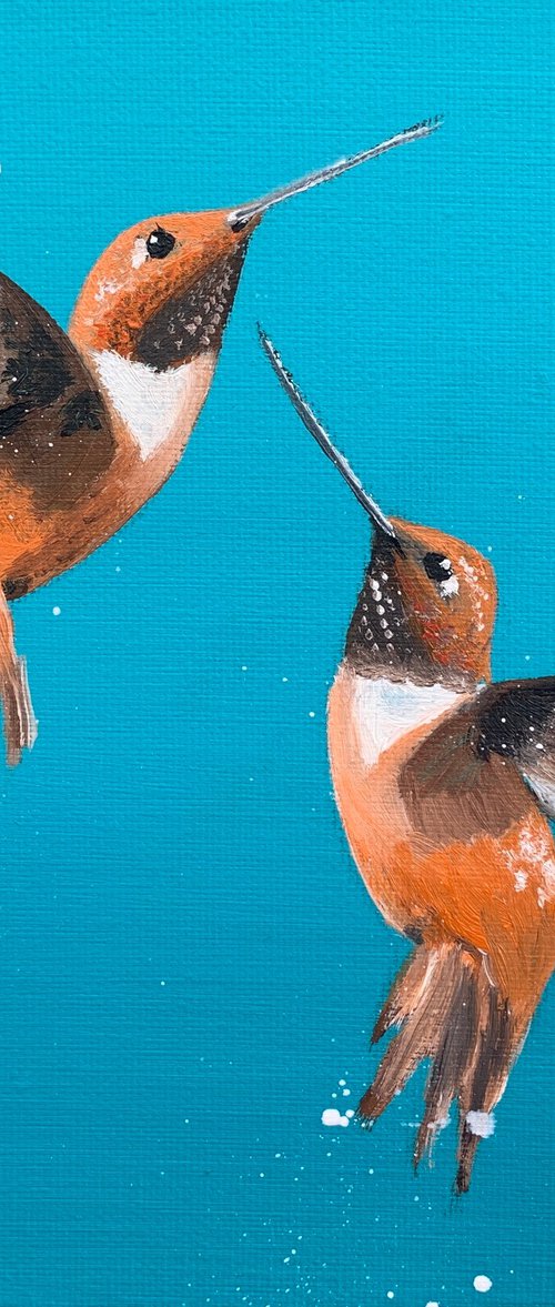 Rufous Hummingbirds by Laure Bury