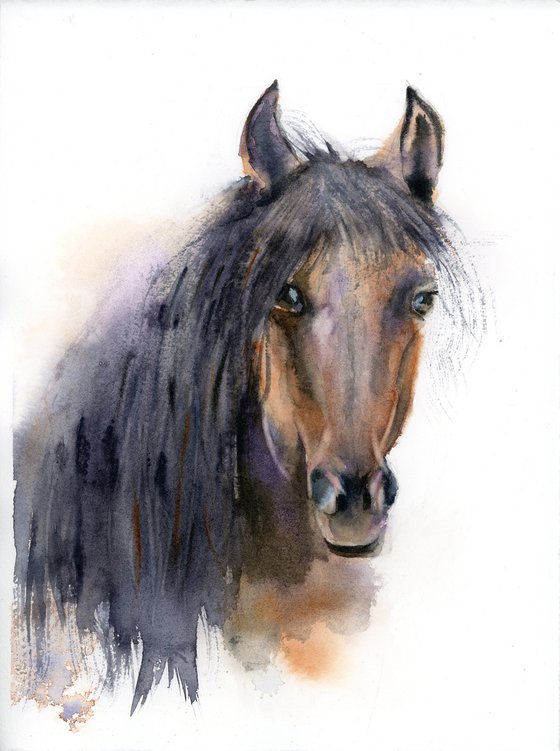 Horse portrait (1)