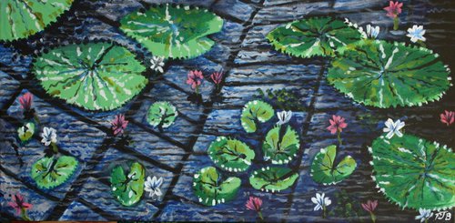 Princess Water-Lillies by Paul J Best
