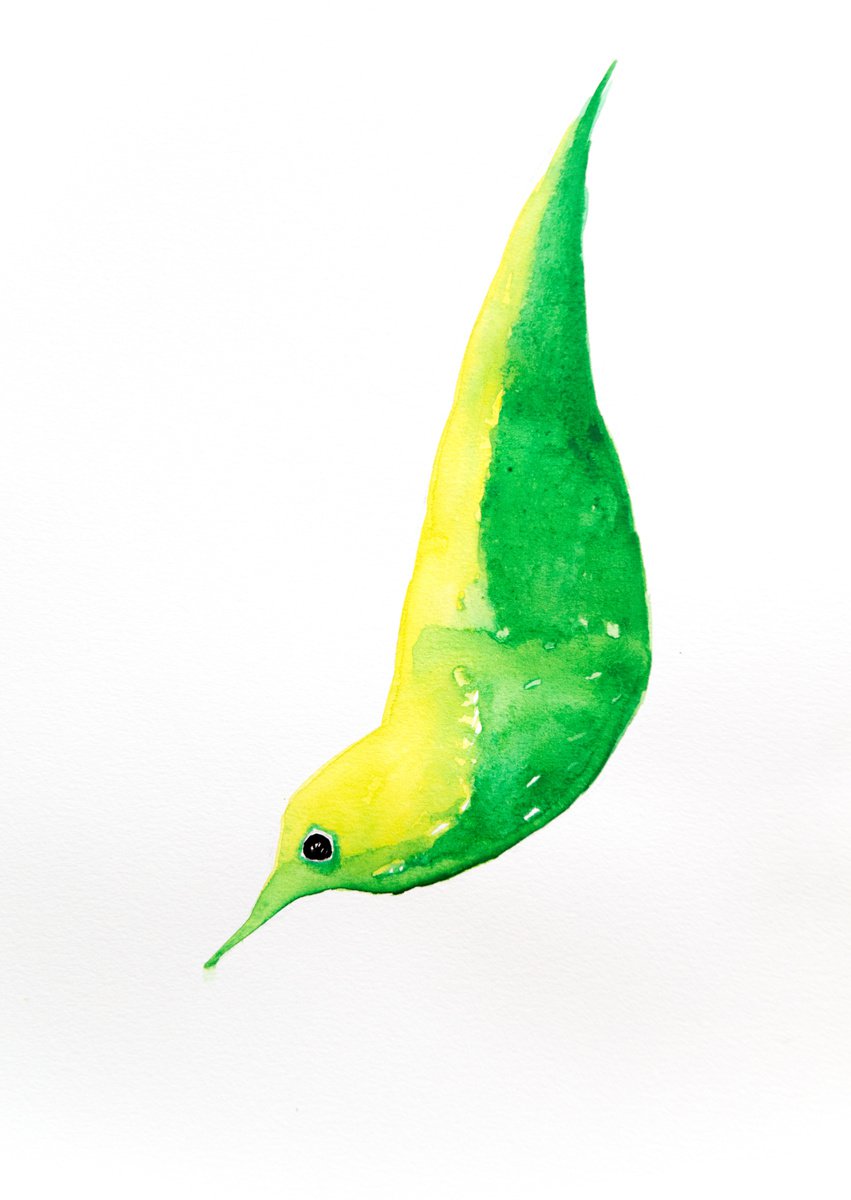 Bird by Nadia Moniatis