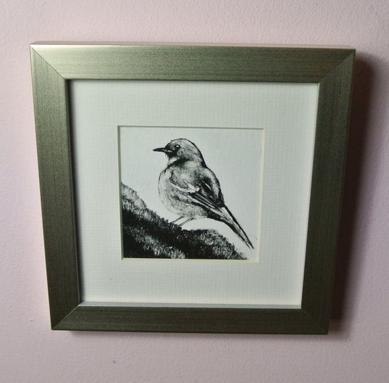 Robin Monotype, Framed Artwork Ready to Hang