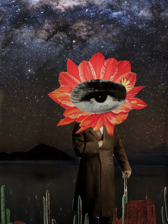 Mr. Eye