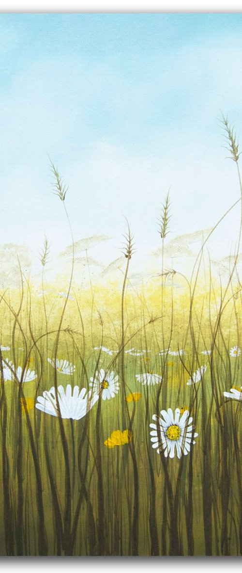 Daisy Meadow by Carol Wood