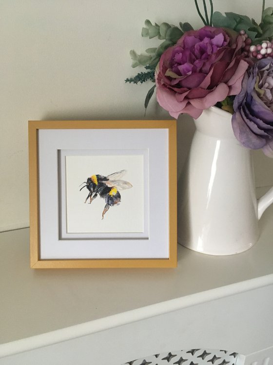 Framed Watercolour Bee