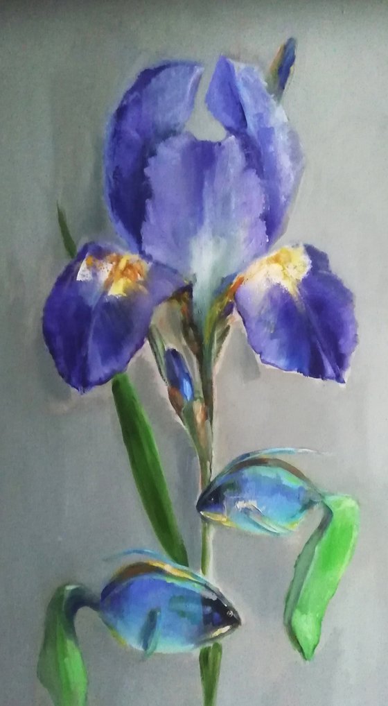 Painting | Oil | Iris