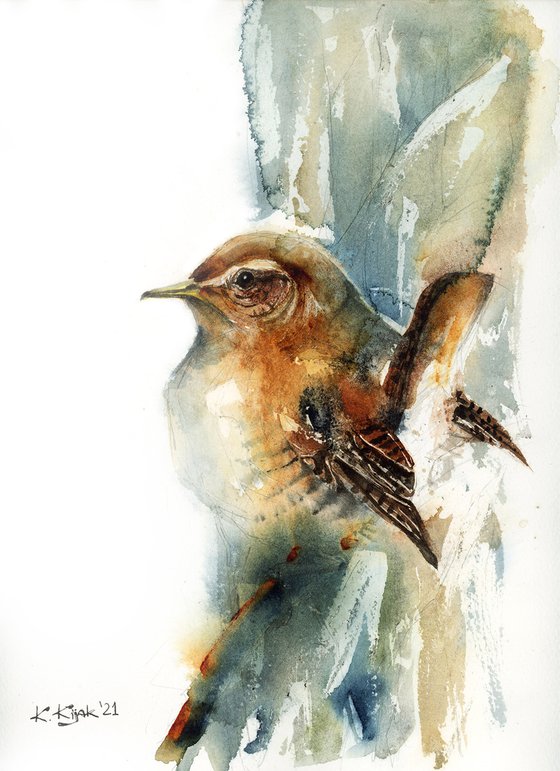 Wren, watercolor of birds and wildlife