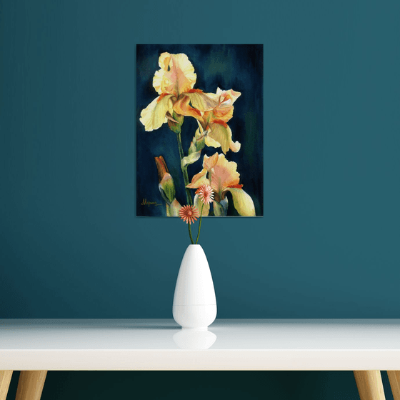 Light Of The Irises