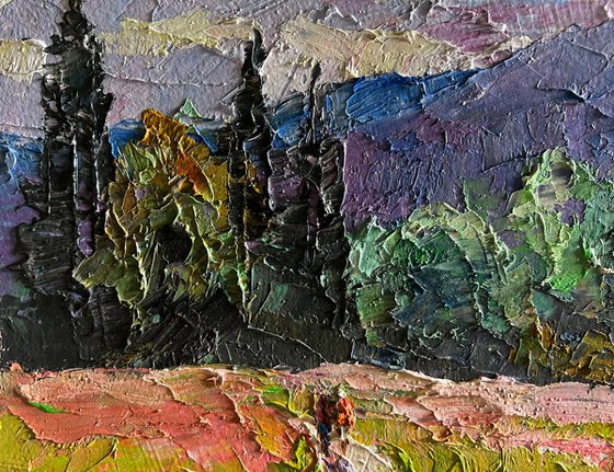 Flowery Mountain Meadows