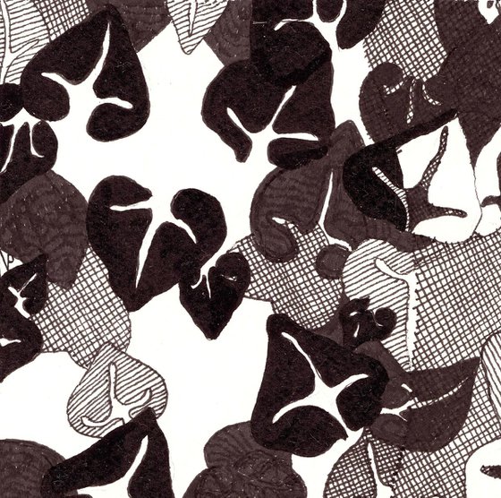 IVY PATTERN Ink Drawing