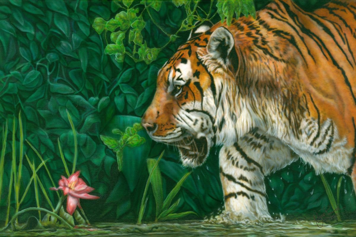 Tiger Lily by Wayne Pruse