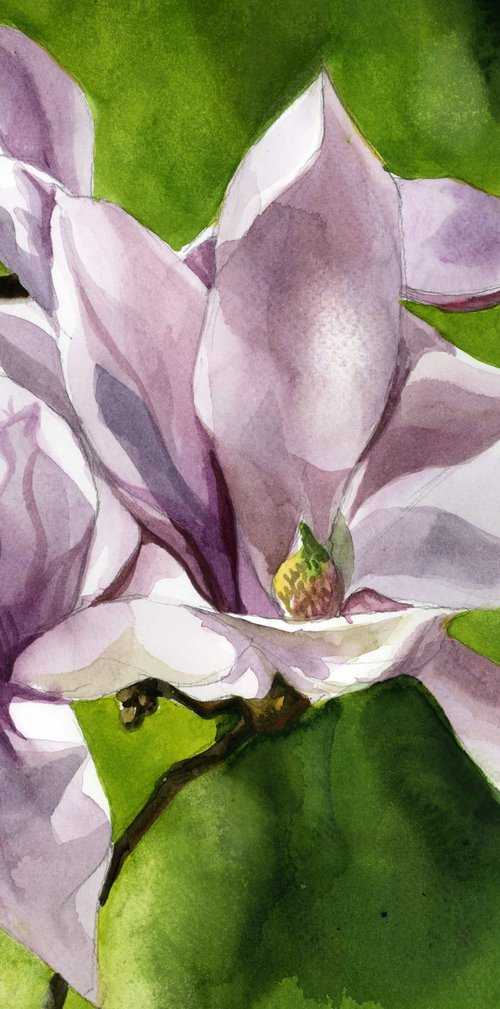 sign of spring by Alfred Ng