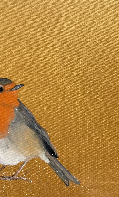 Robin Redbreast by Laure Bury