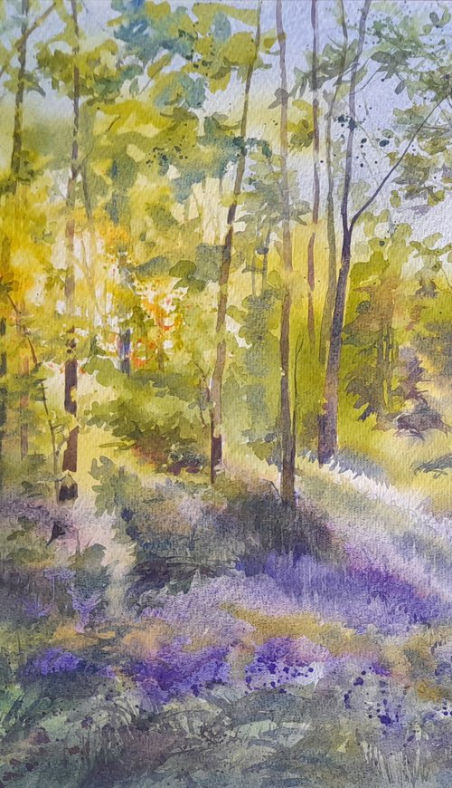 Bluebells at Oldmoor Wood I by Anjana Cawdell