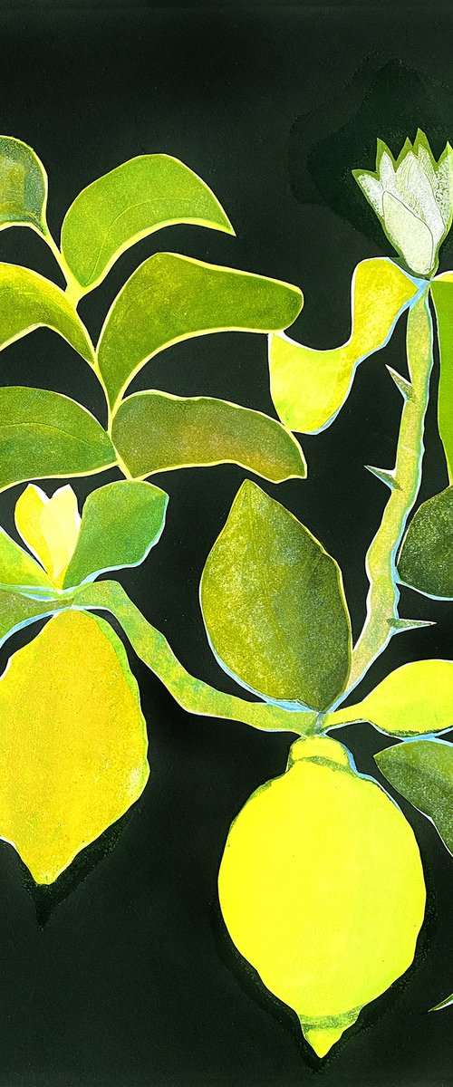 Into the Grove by Helen Boden