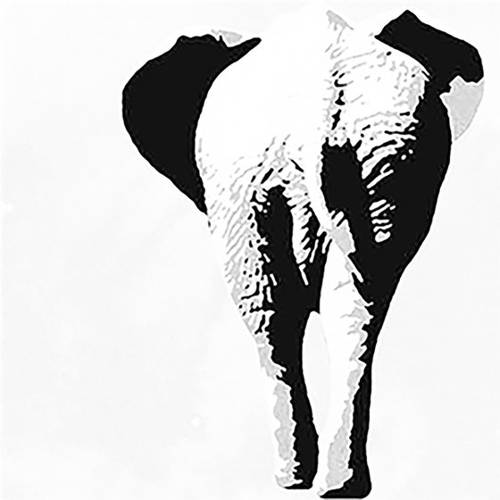 ELEPHANT - MODERN WALL ART