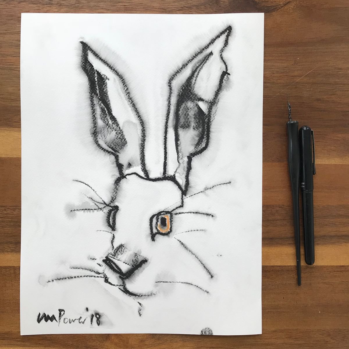 Hare #39 - simple drawing in ink by Luci Power