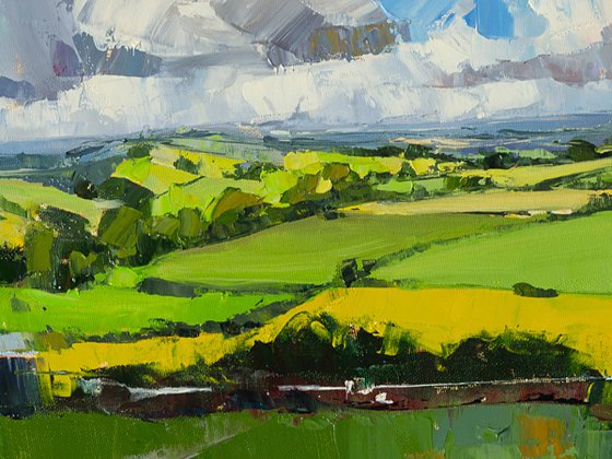 Fields Under Flying Clouds