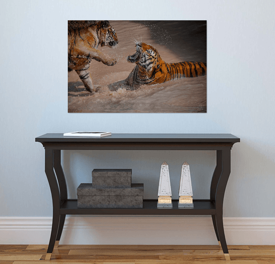 Tigers in Tension