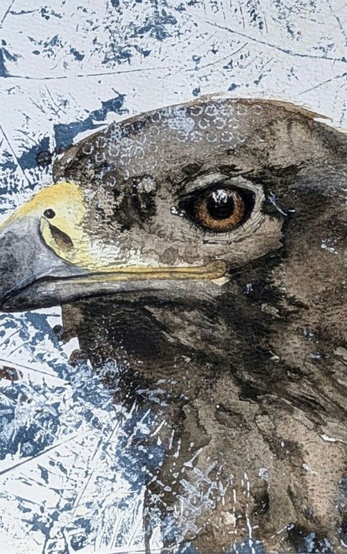 Golden eagle mixed media by Wowhawk