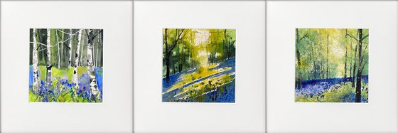 3 bluebell watercolours