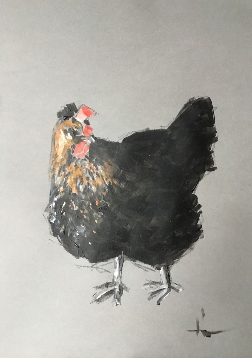 Chicken Study 6 by Dominique Dve
