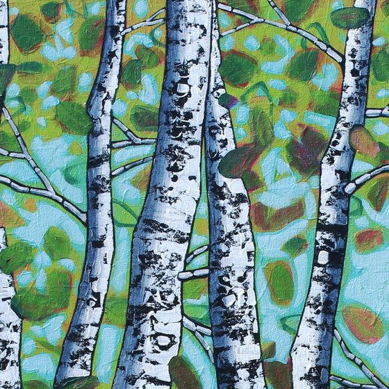 Birch Forest Light
