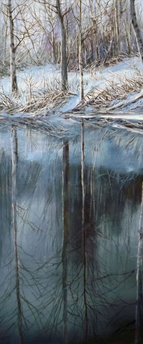 Reflection. Winter by Oleg Riabchuk